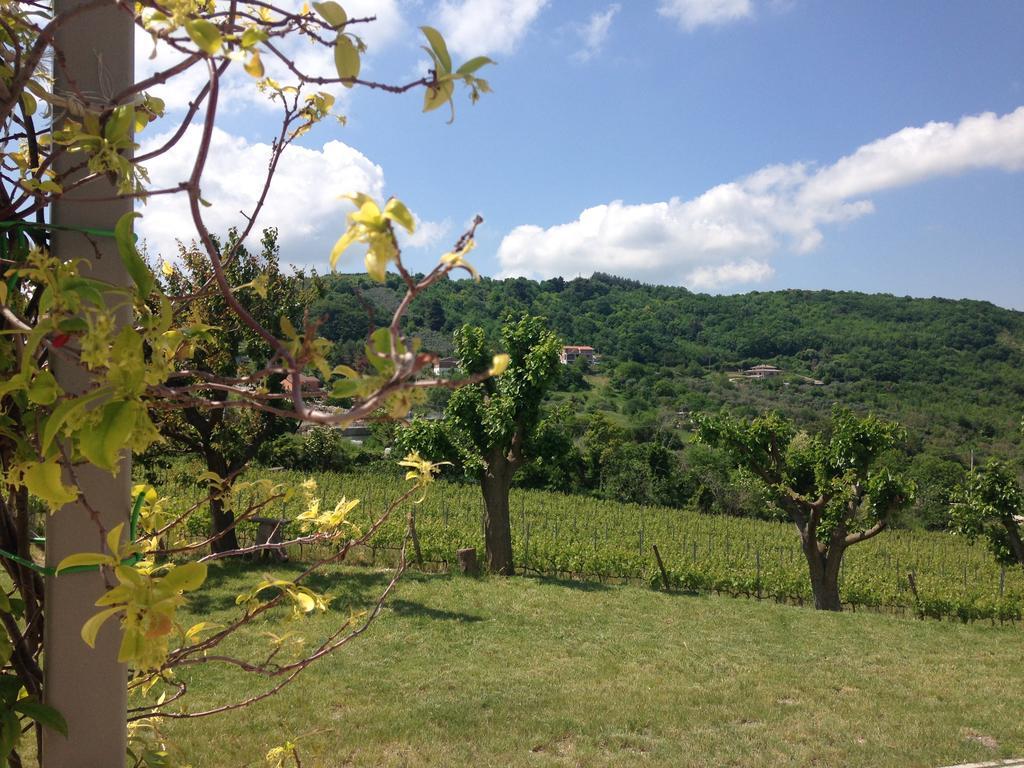 Bed & Wine Rocco Zambri Ξενοδοχείο Bovino Εξωτερικό φωτογραφία